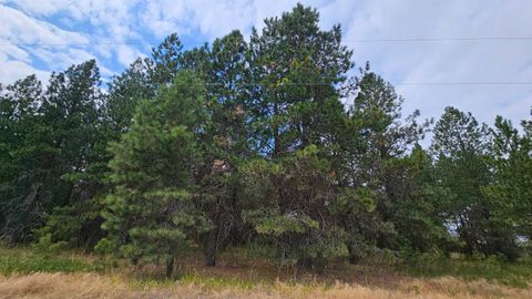 Featured picture for the property 202421546