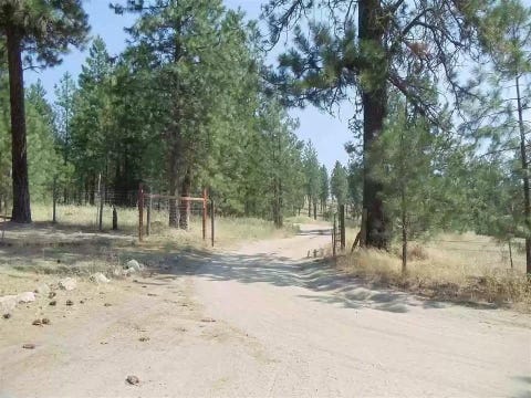 Featured picture for the property 202615752