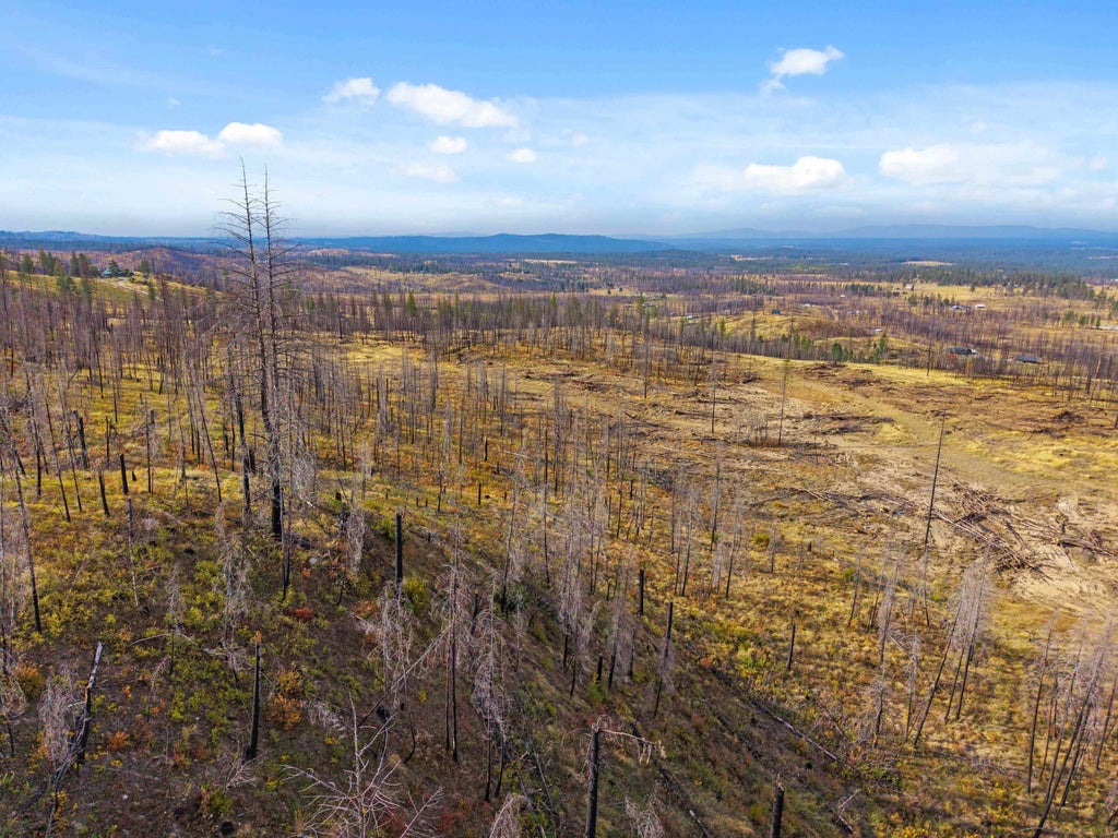 Photo of 0 E Oregon Rd, Elk, WA 99009 (MLS # 202625894)