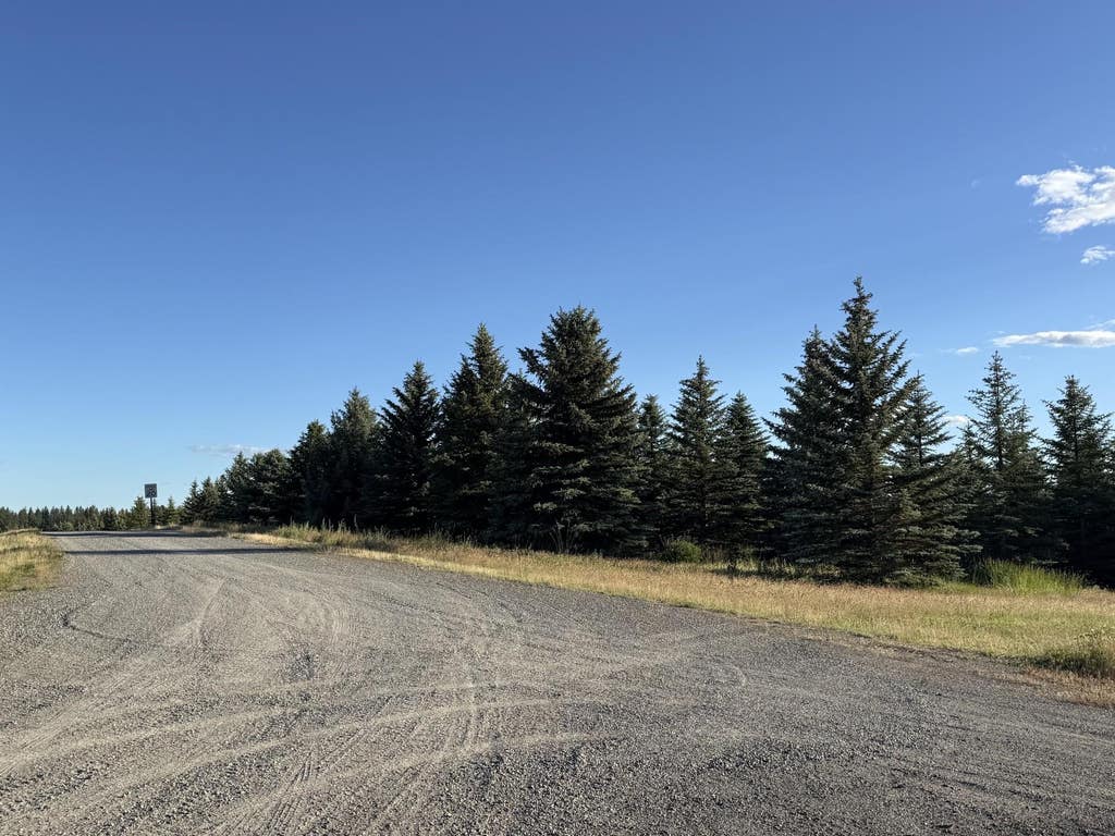 Photo of 119XX S Spruce Tree Ln, Mica, WA 99023 (MLS # 202619115)