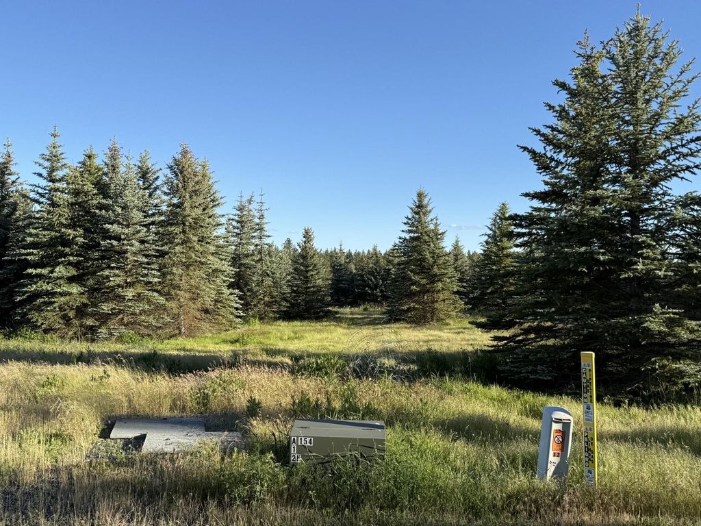 Photo of 119XX S Spruce Tree Ln, Mica, WA 99023 (MLS # 202619115)