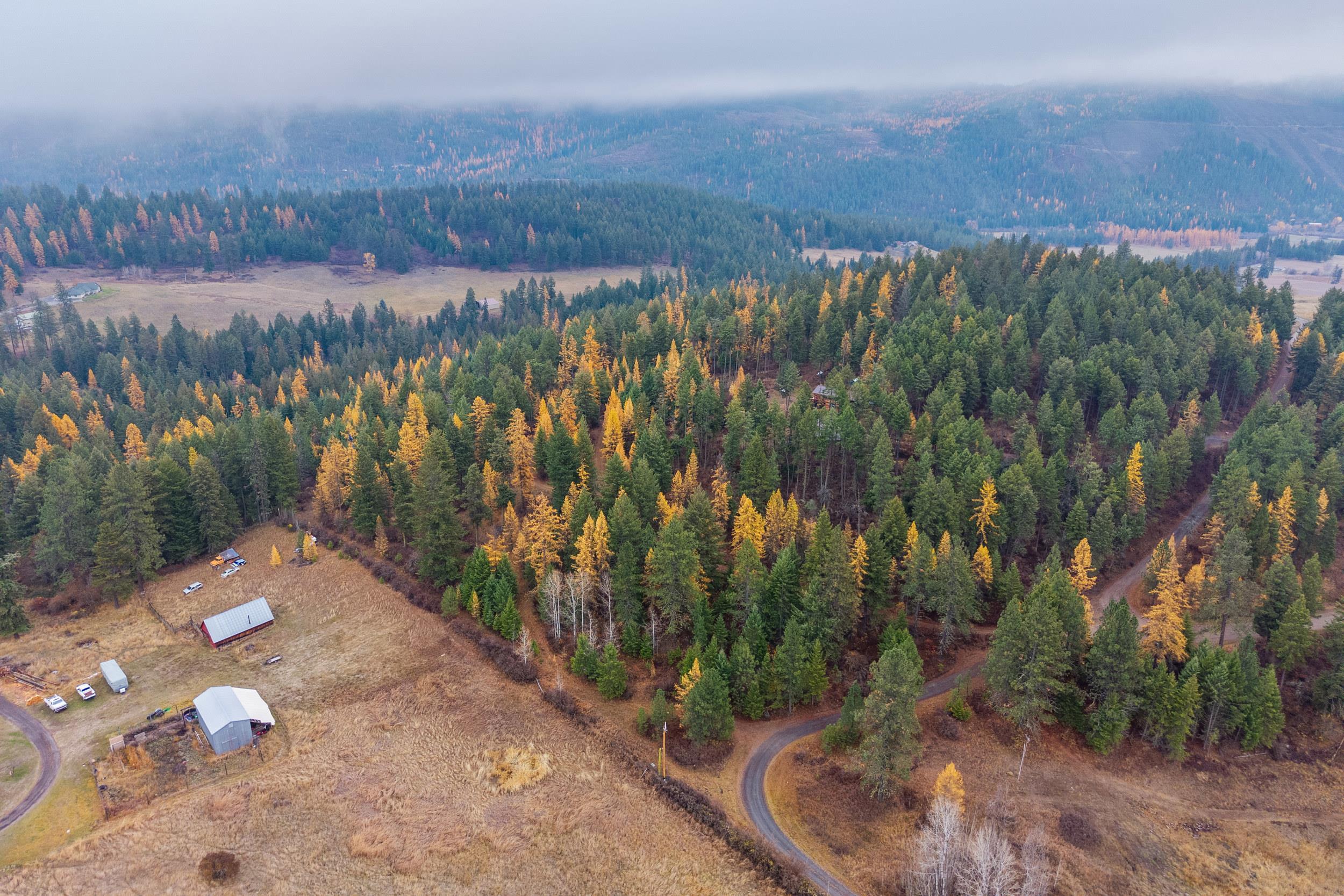 Photo 1 of 9 — 700 L Dry Gulch Rd, Colville, WA 99114