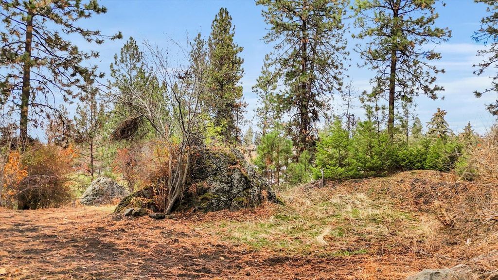 Photo of 1101 S Upper Vista Dr, Spokane, WA 99202 (MLS # 202616145)