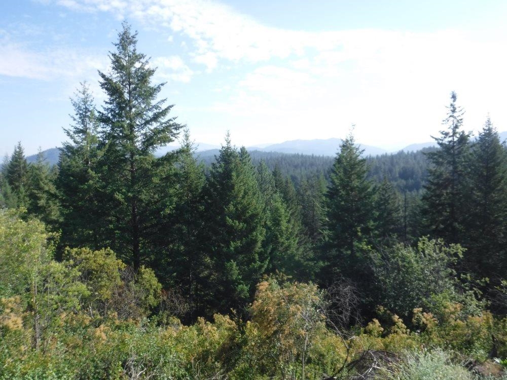 Photo 5 of 13 of Lot 1 SW Moose Ridge Way land