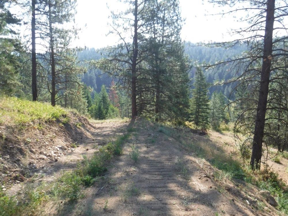 Photo 10 of 13 of Lot 1 SW Moose Ridge Way land
