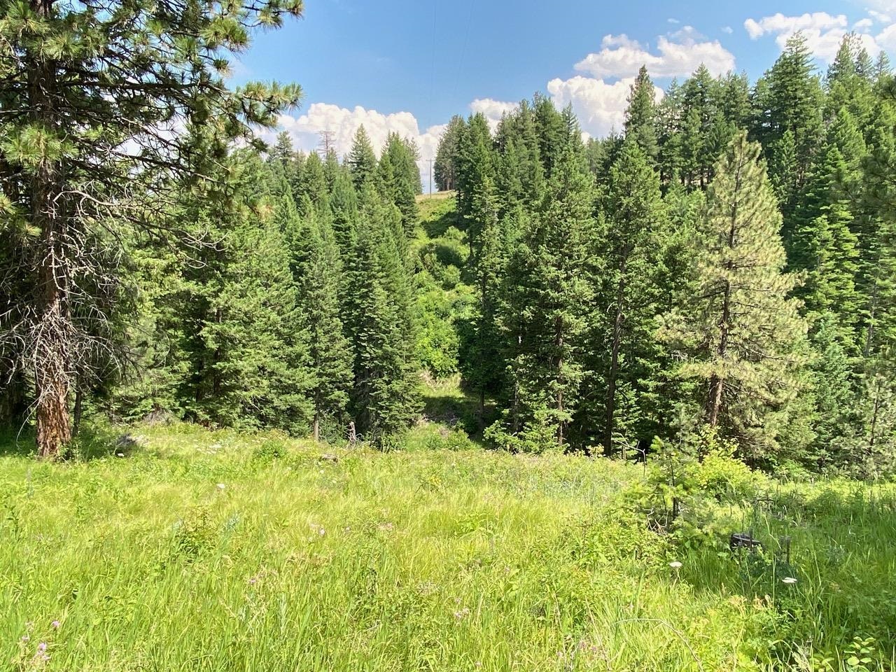 Photo 4 of 10 of TBD Sangster Rd land