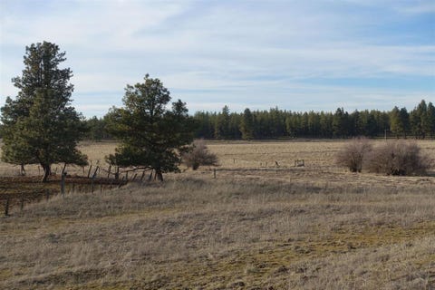 Featured picture for the property 202620211
