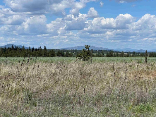 XXX N WOOD RD, REARDAN, WA 99029 - Image 294026f18accfc2a42e53bda5fbbdd50/540872032