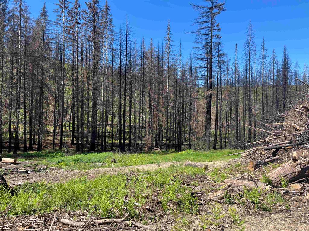 Photo of 40114 N Jackson Rd, Elk, WA 99009 (MLS # 202511404)