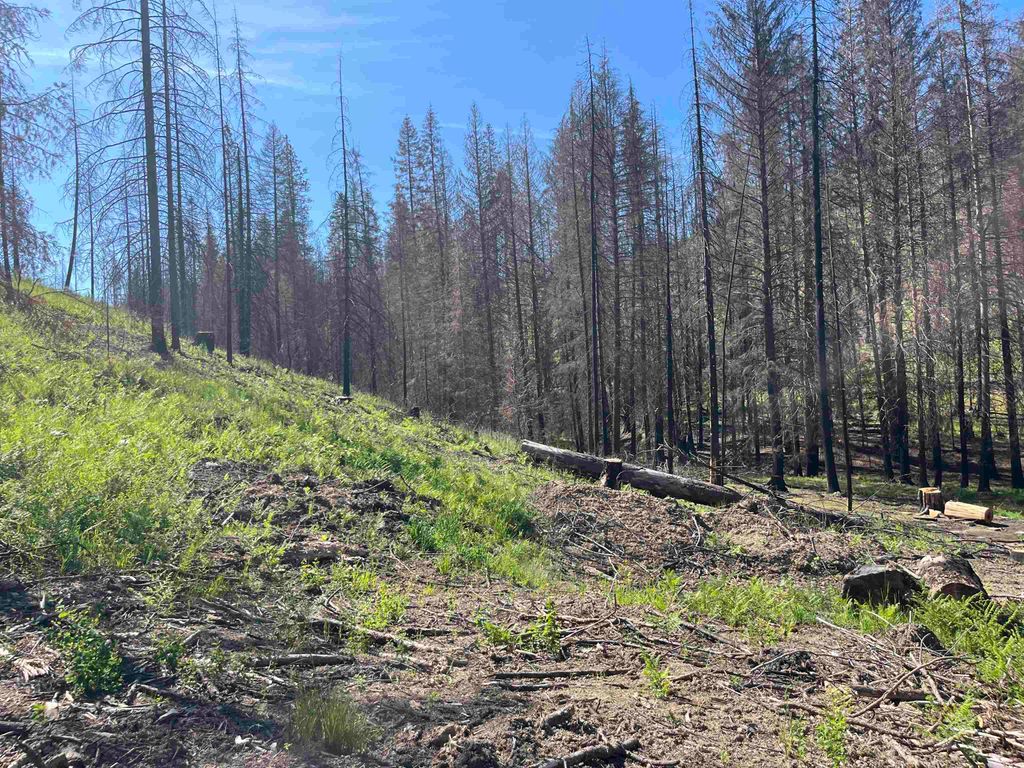 Photo of 40114 N Jackson Rd, Elk, WA 99009 (MLS # 202511404)