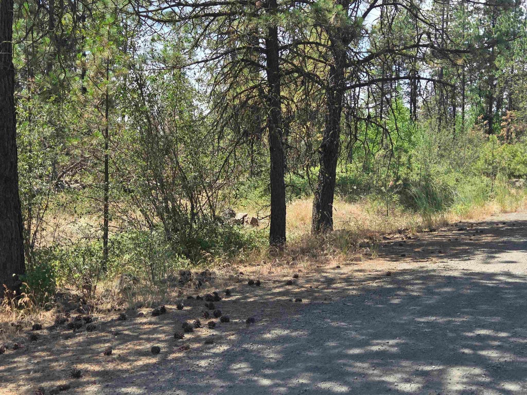 Photo of 13711 W FARWELL Rd, Nine Mile Falls, WA 99026 (MLS # 202619927)