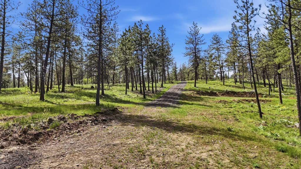 Photo of 00 N Chris Ln, Medical Lake, WA 99022 (MLS # 202621271)