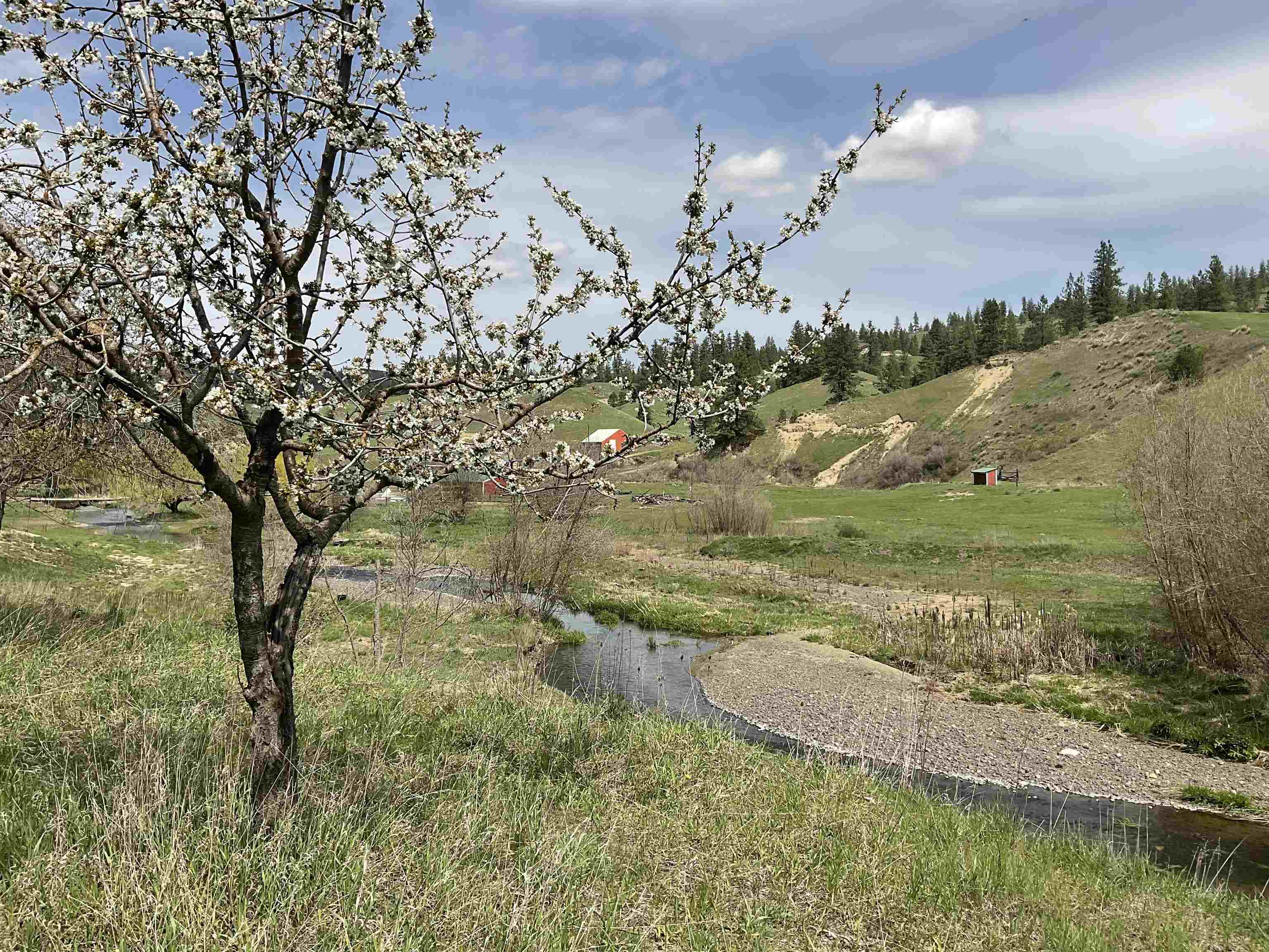 Photo 6 of 16 of 36436 N Hawk Creek Rd land