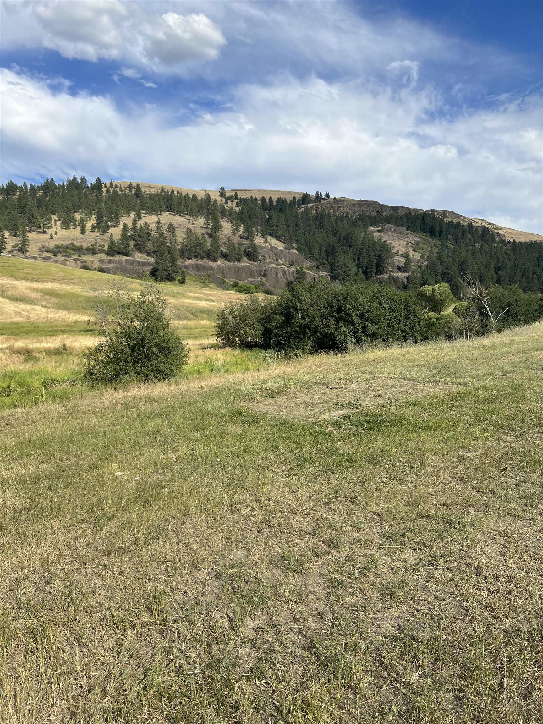 Photo 14 of 16 of 36436 N Hawk Creek Rd land