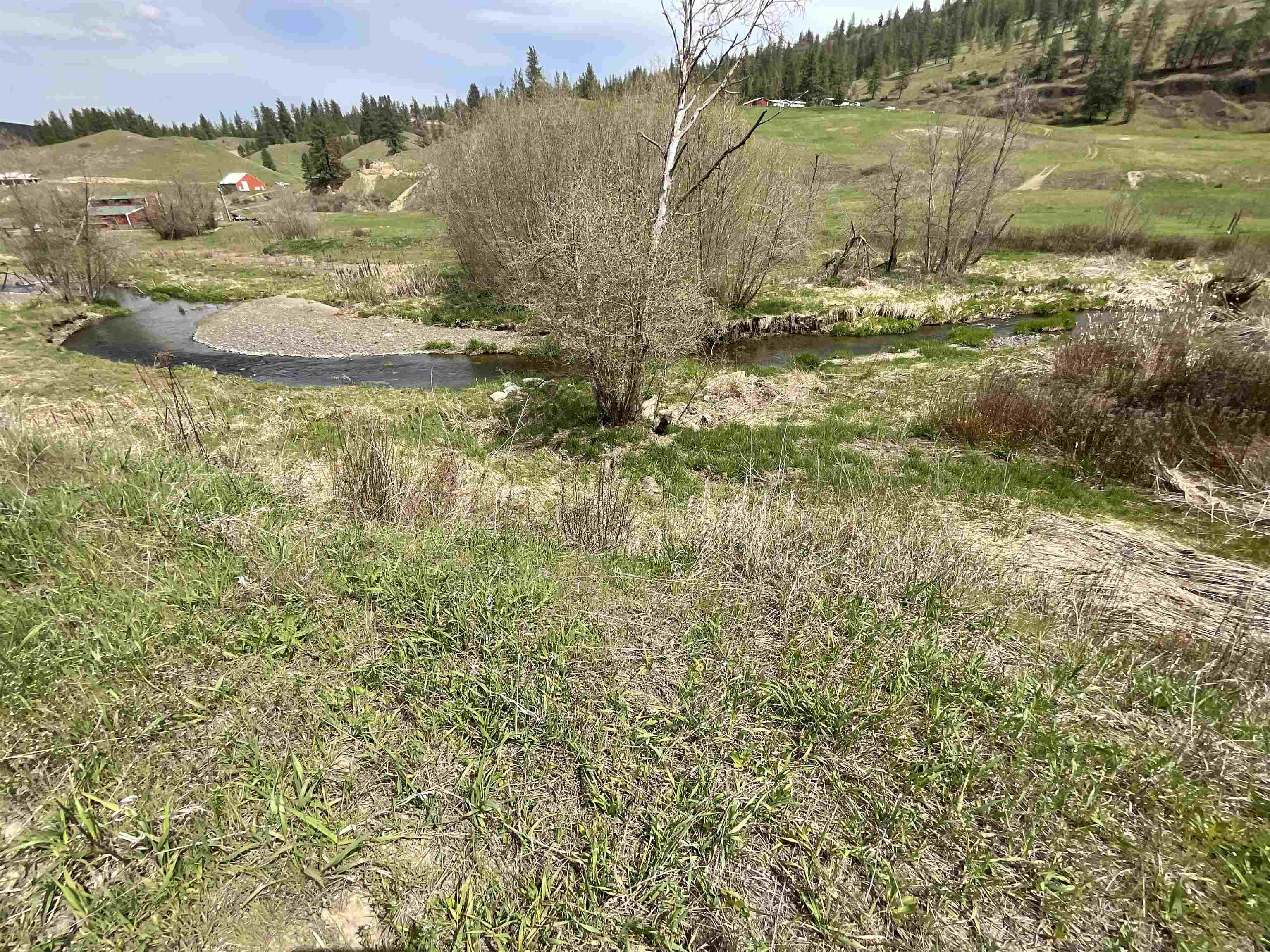 Photo 11 of 16 of 36436 N Hawk Creek Rd land
