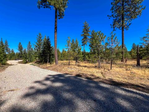 Featured picture for the property 202423346