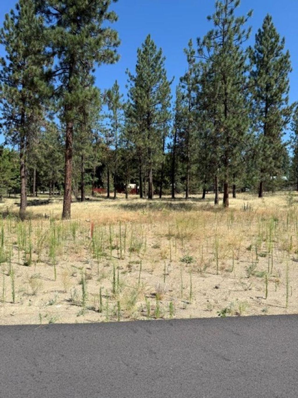Photo of Lot 14 Long Lake Estates Est, Nine Mile Falls, WA 99026 (MLS # 202620858)