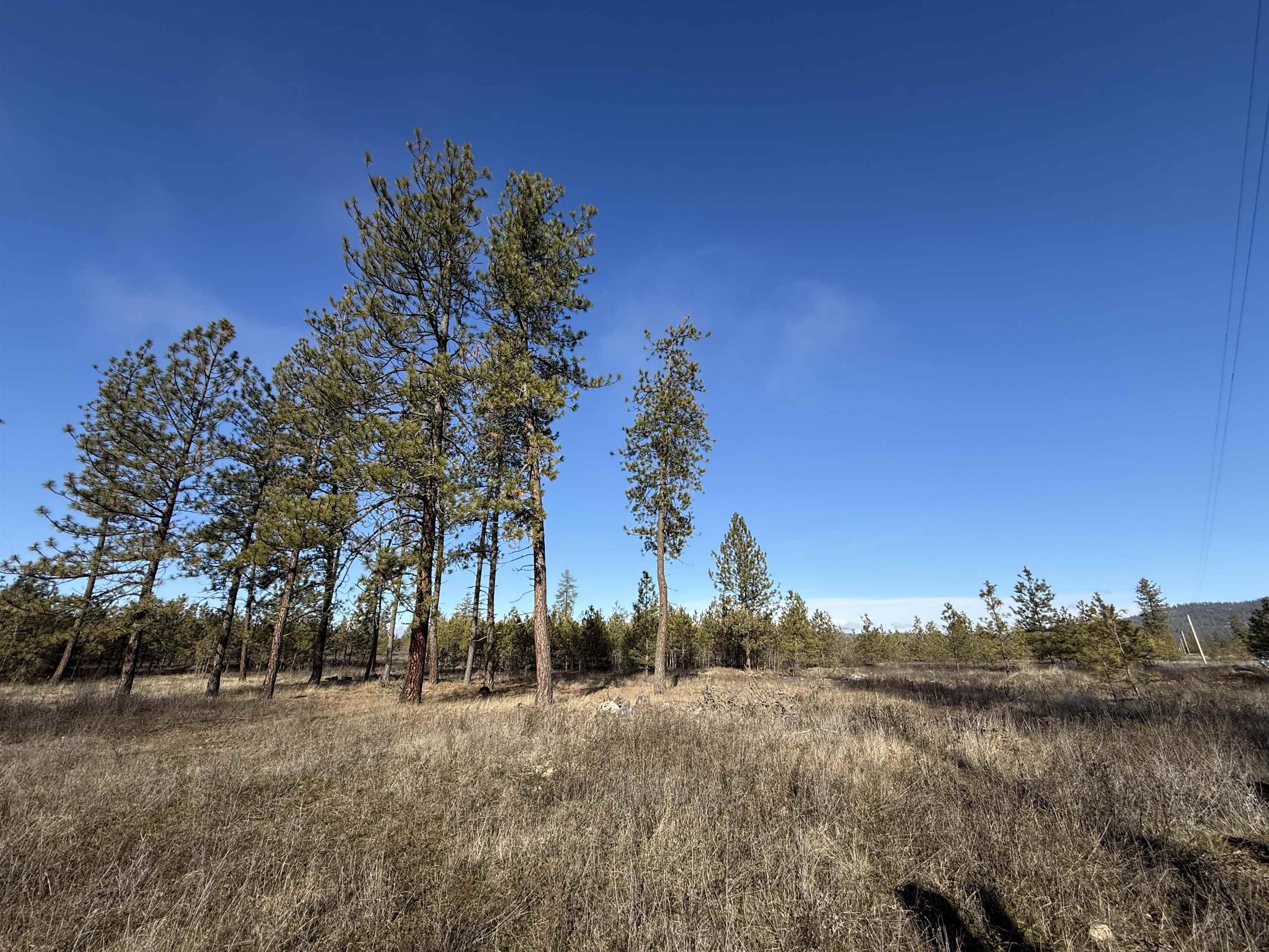 Photo 1 of 5 — 7552 Kimberly Drive Way, Ford, WA 99013