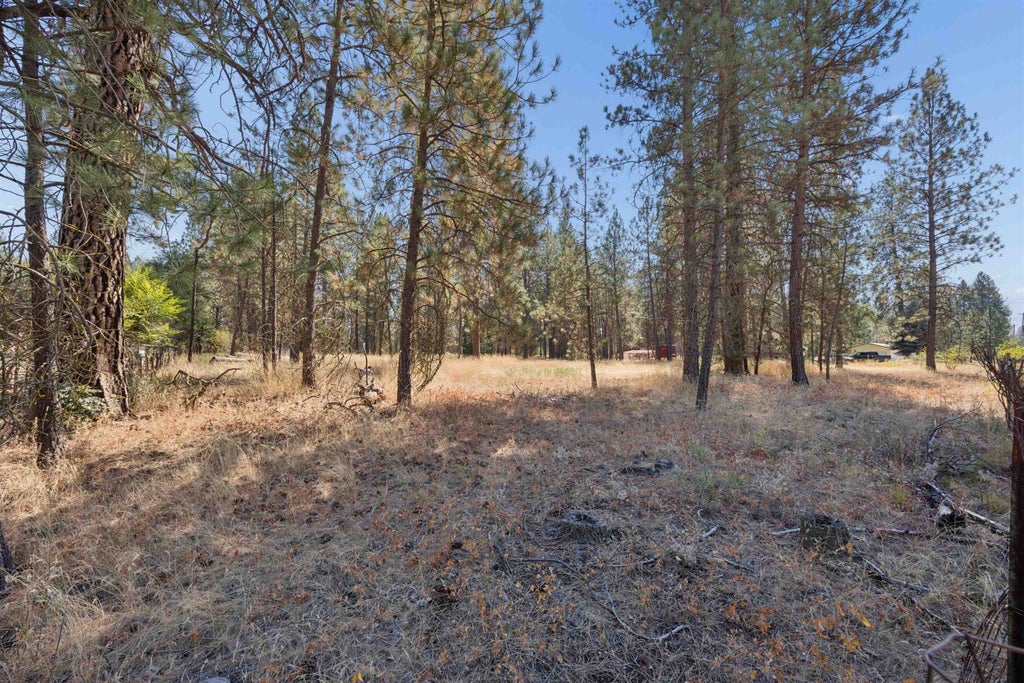 Photo of 21324 N Myrtle Rd, Colbert, WA 99005 (MLS # 202626013)