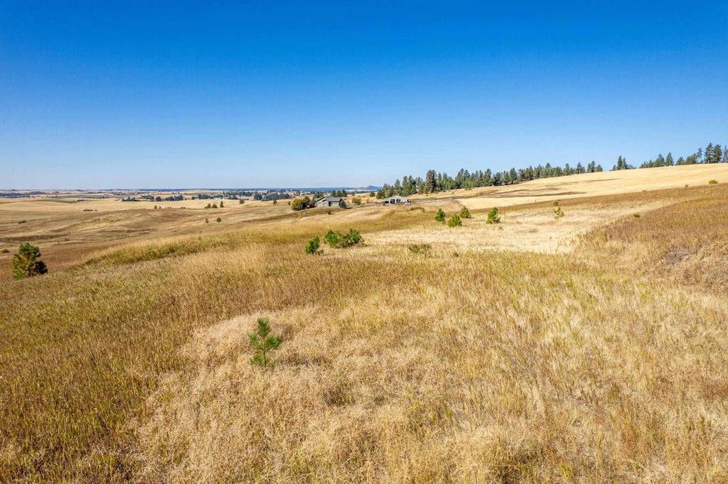 Photo of NKA Thunder Mountain Ln, Valleyford, WA 99036 (MLS # 202624445)