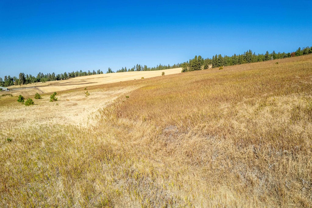 Photo of NKA Thunder Mountain Ln, Valleyford, WA 99036 (MLS # 202624445)