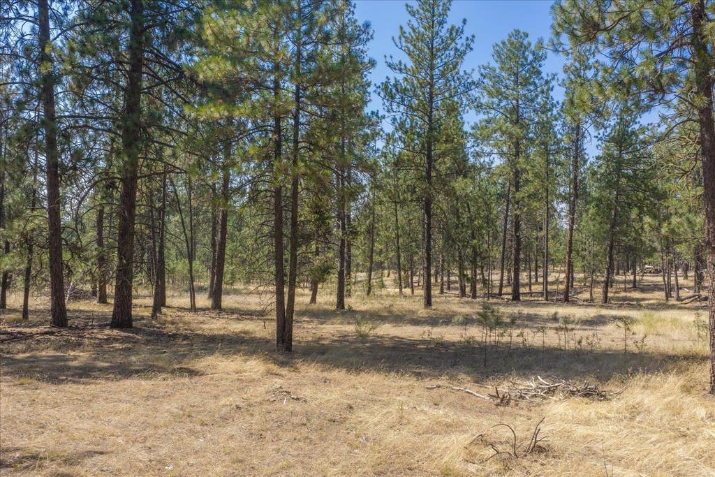 Photo of 1110 1/2 S Brooks Rd, Medical Lake, WA 99022 (MLS # 202622140)