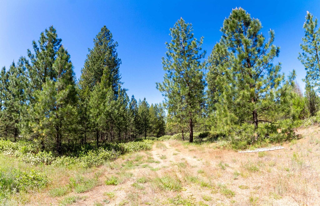 Photo of 29XXX N Hardesty Rd, Chattaroy, WA 99003 (MLS # 202618976)