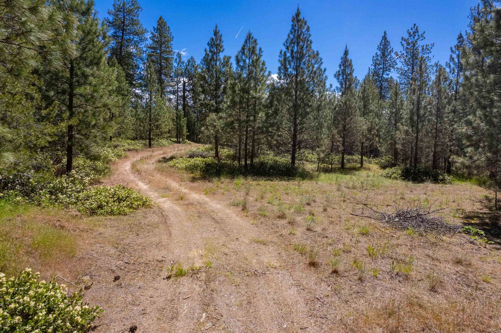 Photo of 29XXX N Hardesty Rd, Chattaroy, WA 99003 (MLS # 202618976)