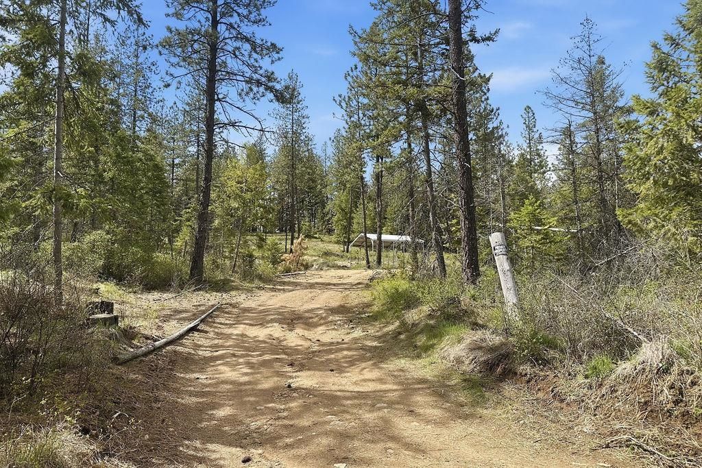 Photo of 8300 E Lodge Pole Ln Ln, Chattaroy, WA 99003 (MLS # 202615776)