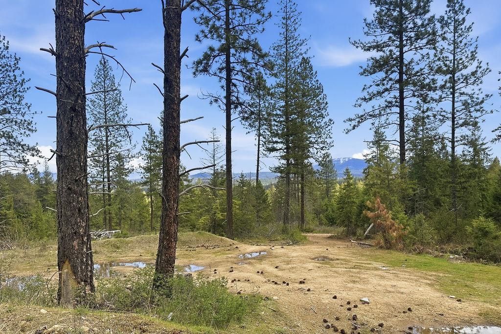 Photo of 8300 E Lodge Pole Ln Ln, Chattaroy, WA 99003 (MLS # 202615776)