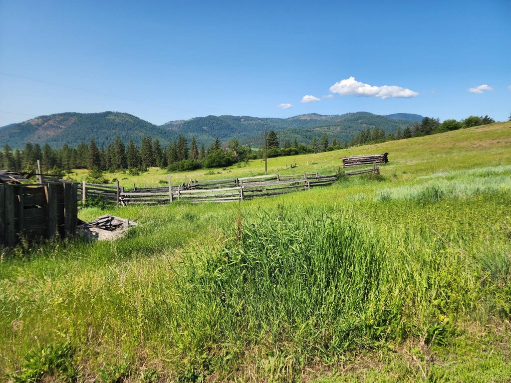 Photo of xxx Hall Creek Rd, Inchelium, WA 99138 (MLS # 202624498)