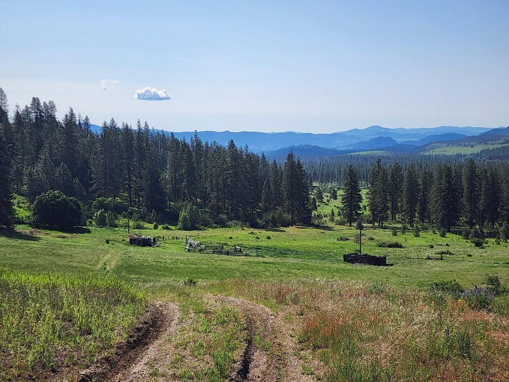 Photo of xxx Hall Creek Rd, Inchelium, WA 99138 (MLS # 202624498)