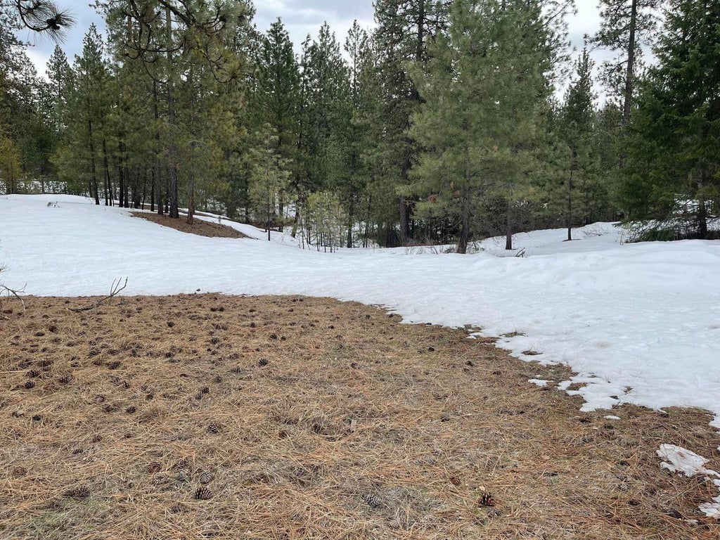 Photo of 4XX Couples Ct, Chewelah, WA 99109 (MLS # 202625990)