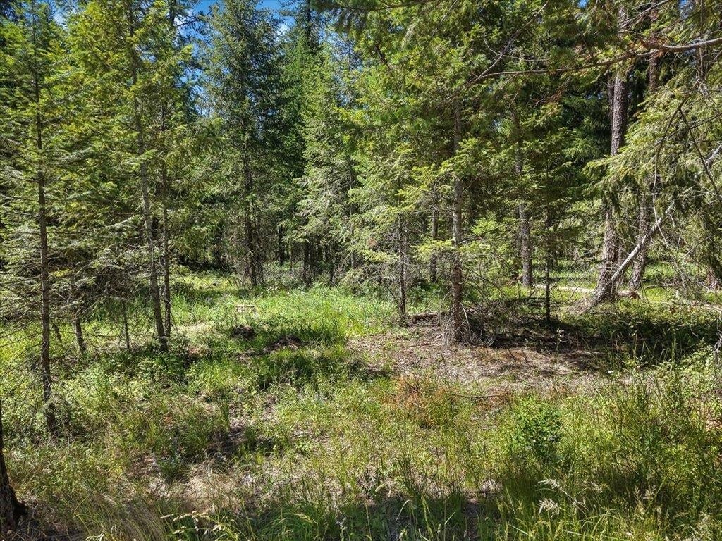 Photo of 305XX N Cleveland Rd, Deer Park, WA 99006 (MLS # 202619818)