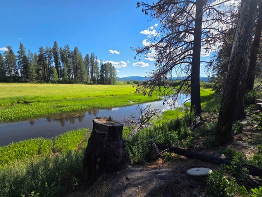 123 CUSICK MEADOW RD, CUSICK, WA 99119 - Image 3f544eacdaef8e4767f1ce2df32cae9a/1903830914