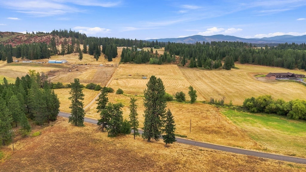 Photo of 2702 Allen Rd, Elk, WA 99009 (MLS # 202623661)