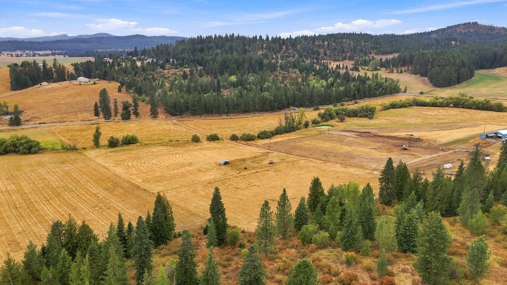 Photo of 2702 Allen Rd, Elk, WA 99009 (MLS # 202623661)