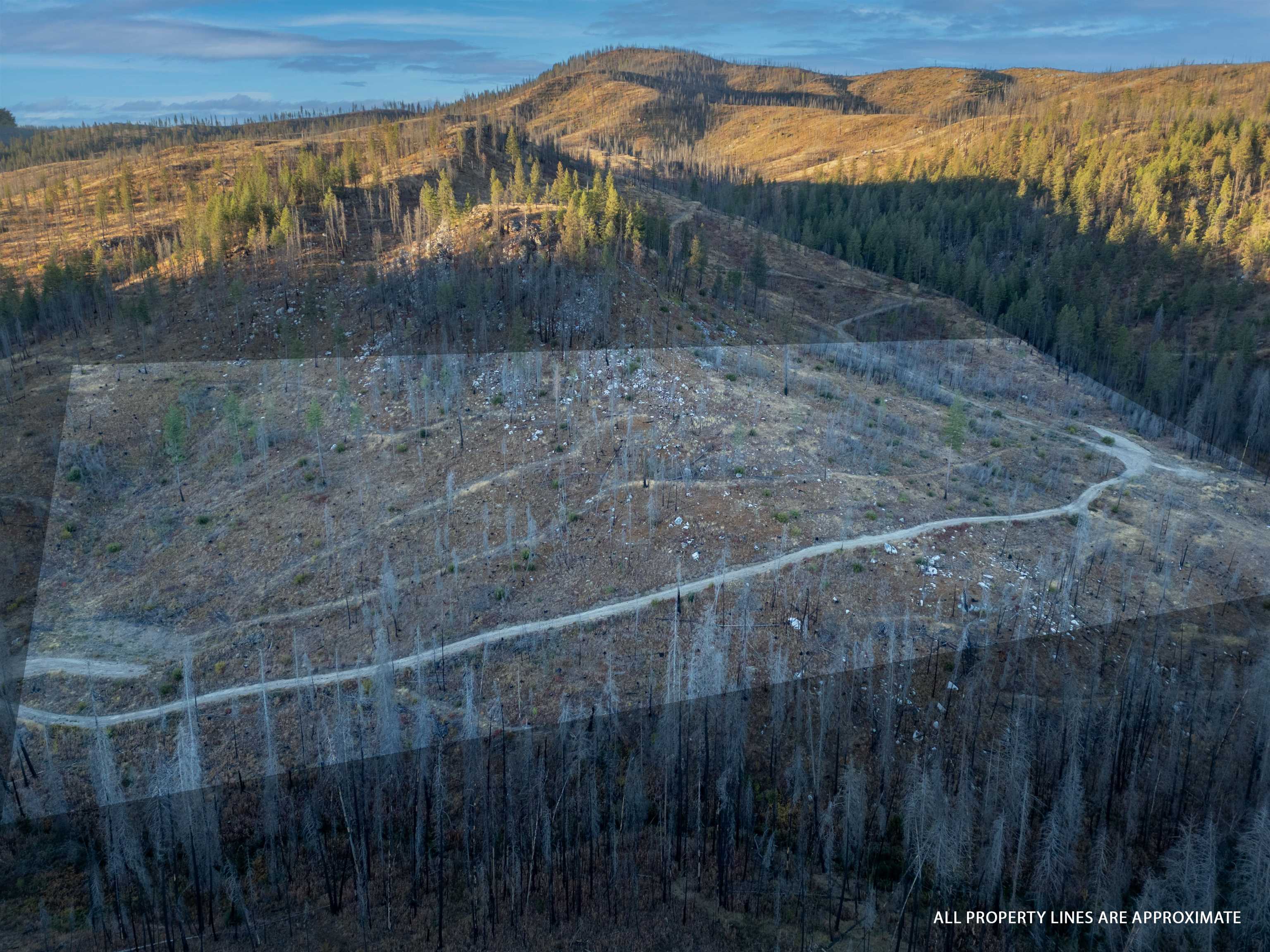 Photo 1 of 5 — Lot 1 Rail Canyon Rd, Springdale, WA 99173