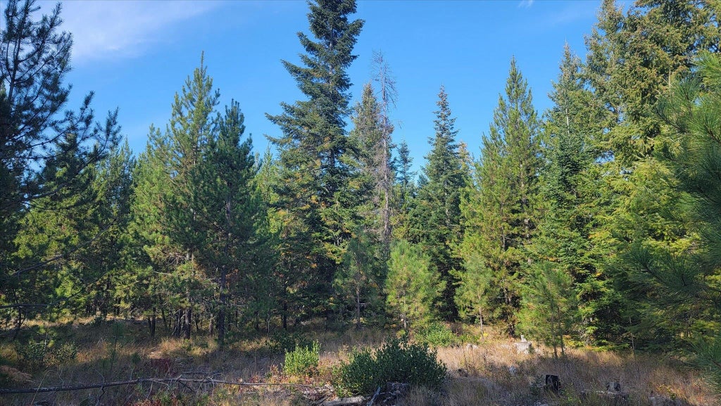 Photo of NKN Green Rd, Newport, WA 99156 (MLS # 202626065)