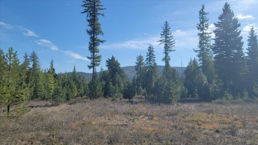 Photo of NKN Green Rd, Newport, WA 99156 (MLS # 202626065)