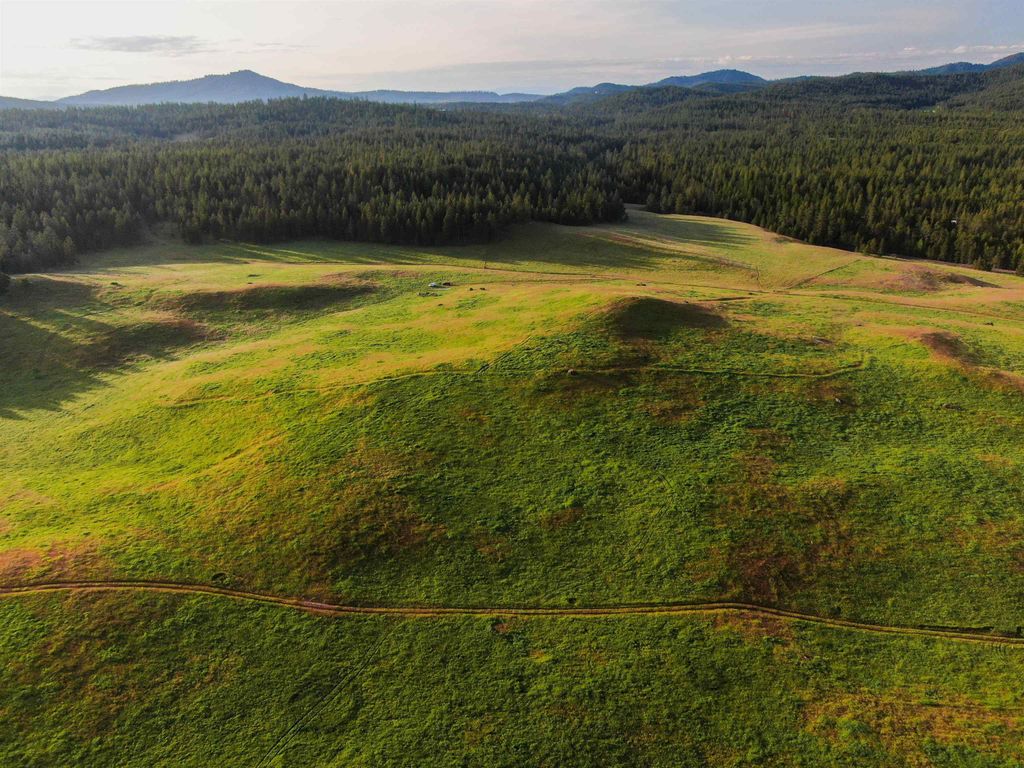 Photo of 3737 C E Jumpoff Rd, Valley, WA 99181 (MLS # 202616259)