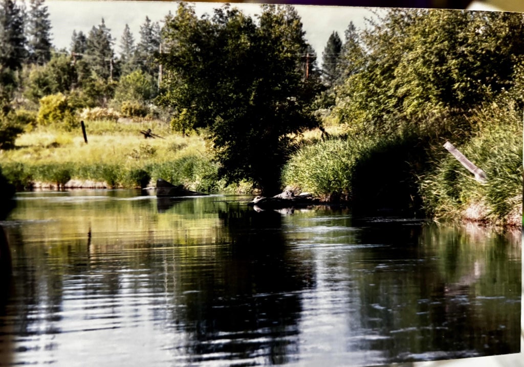 Photo of NKA E Deer Park Milan Rd, Chattaroy, WA 99003 (MLS # 202625954)