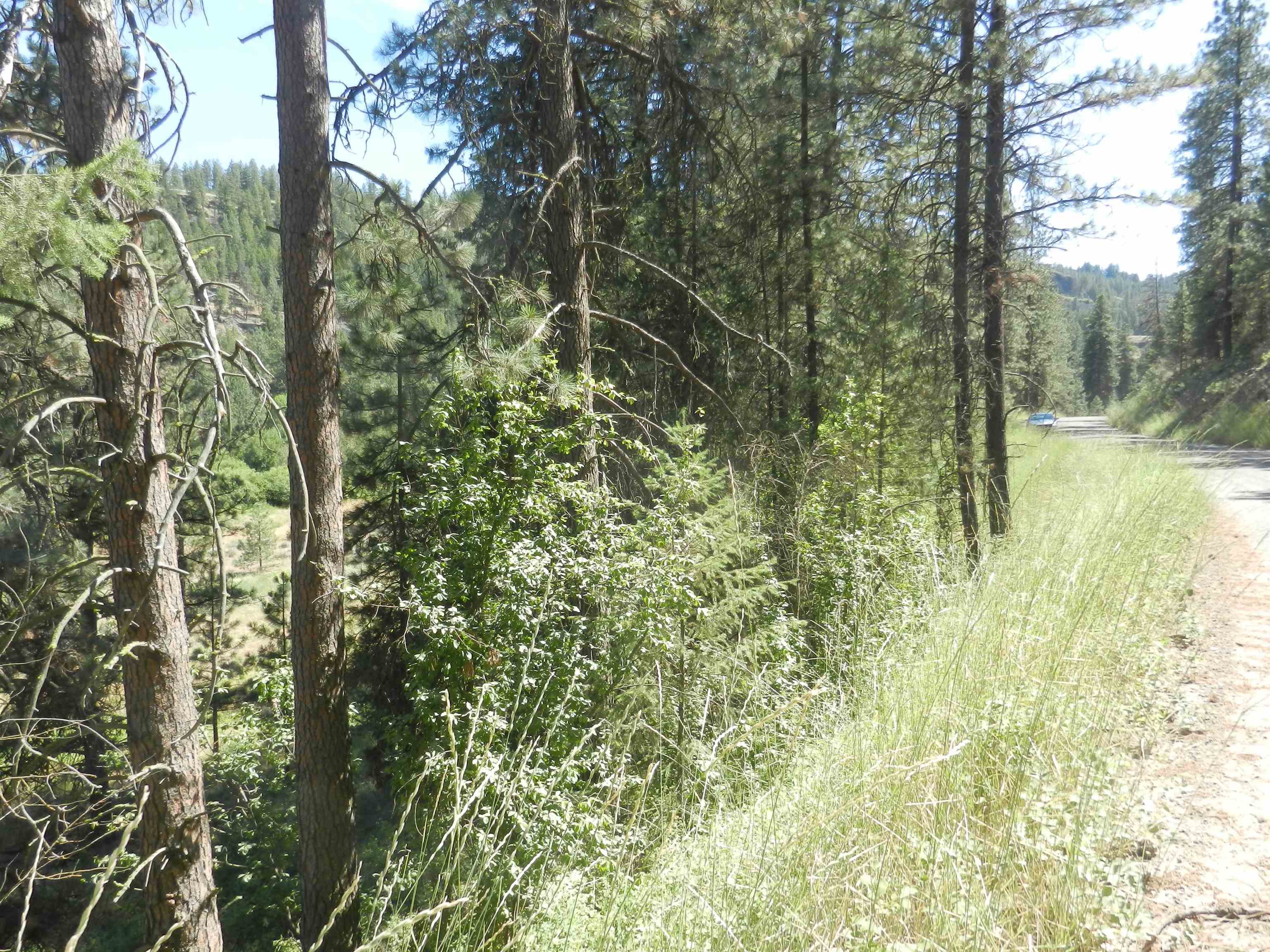 Photo 13 of 25 of 33520 Hawk Creek Ranch Rd N Tract 125 land