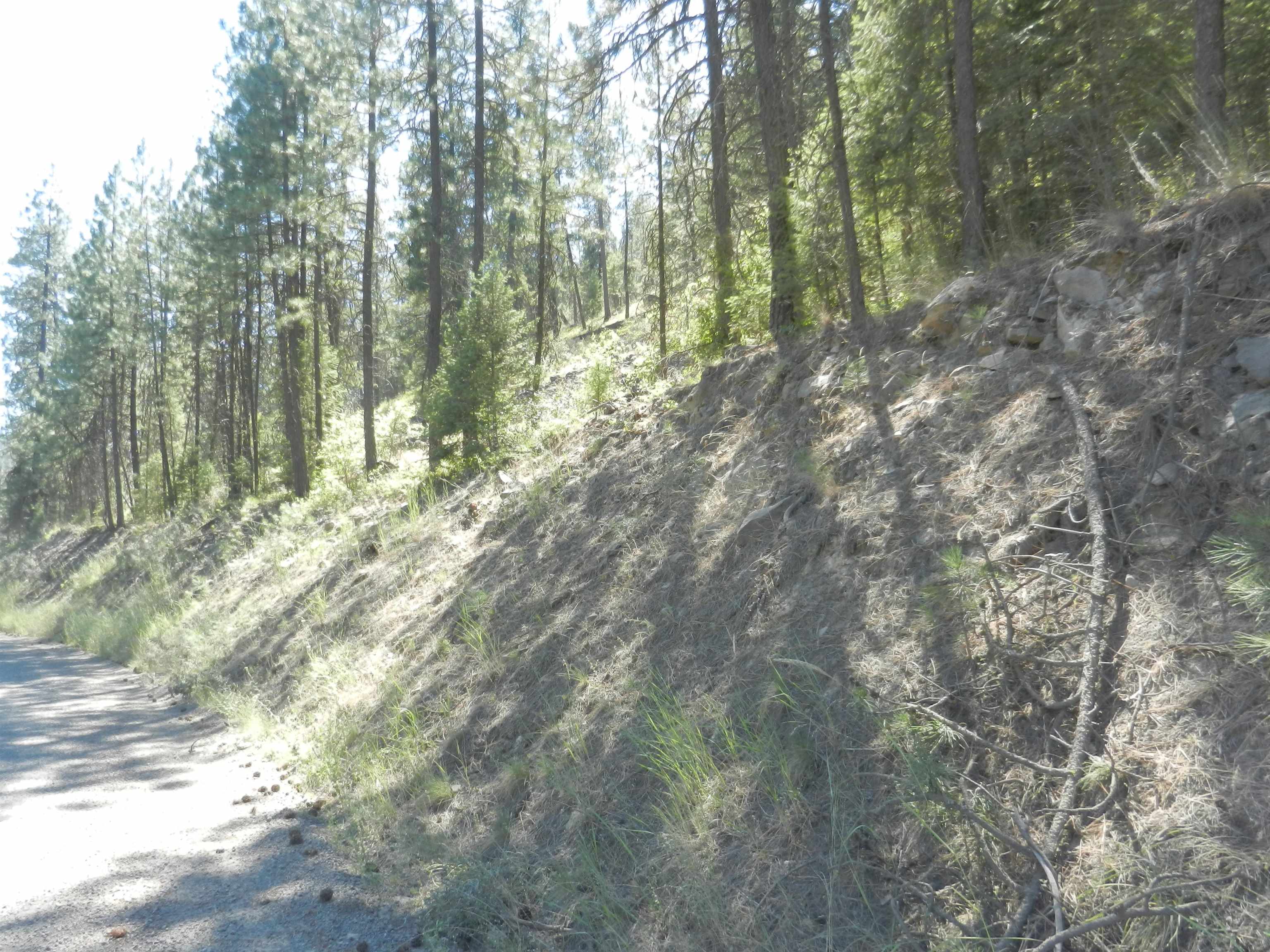 Photo 4 of 25 of 33520 Hawk Creek Ranch Rd N Tract 125 land