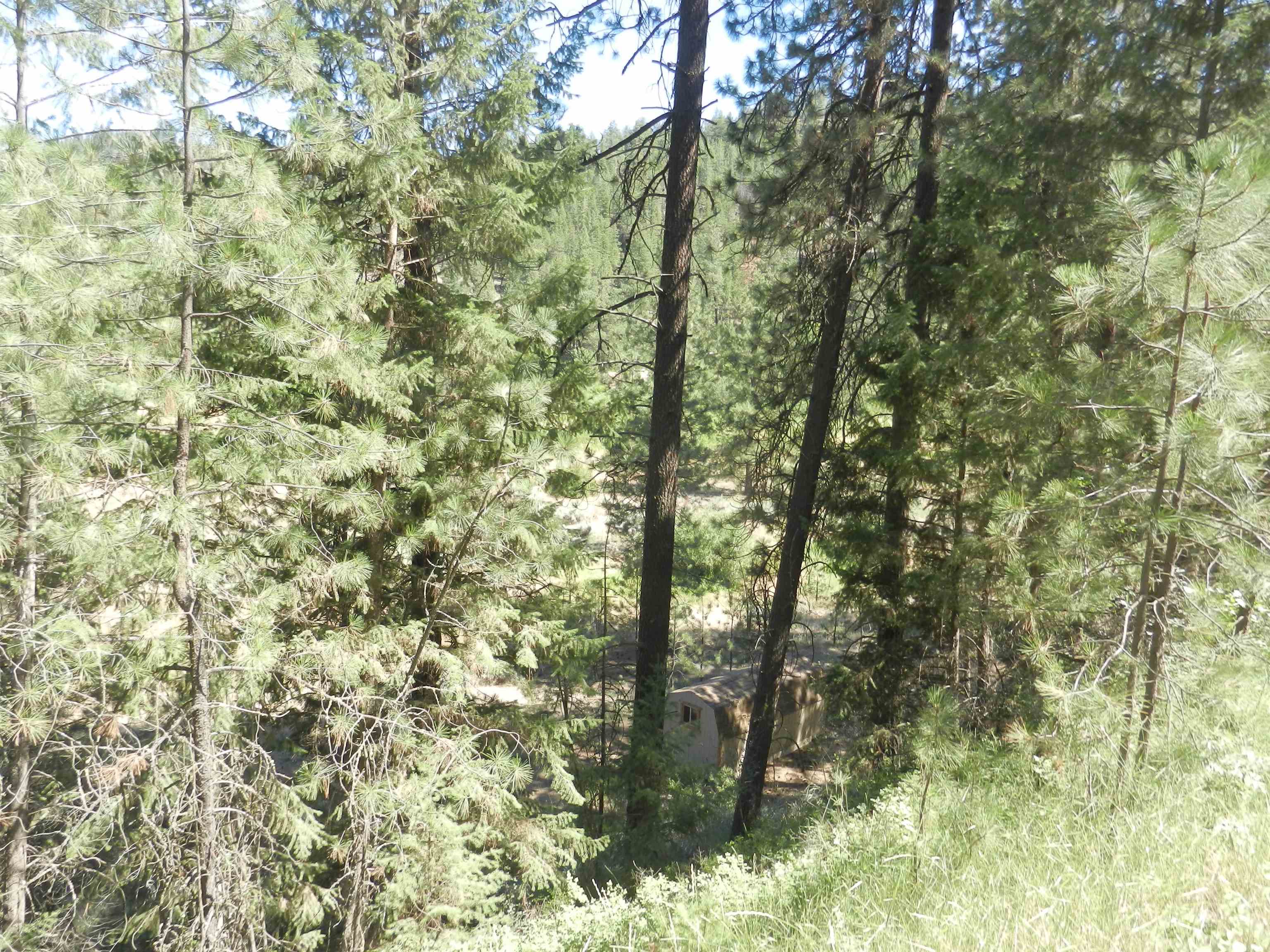Photo 21 of 25 of 33520 Hawk Creek Ranch Rd N Tract 125 land