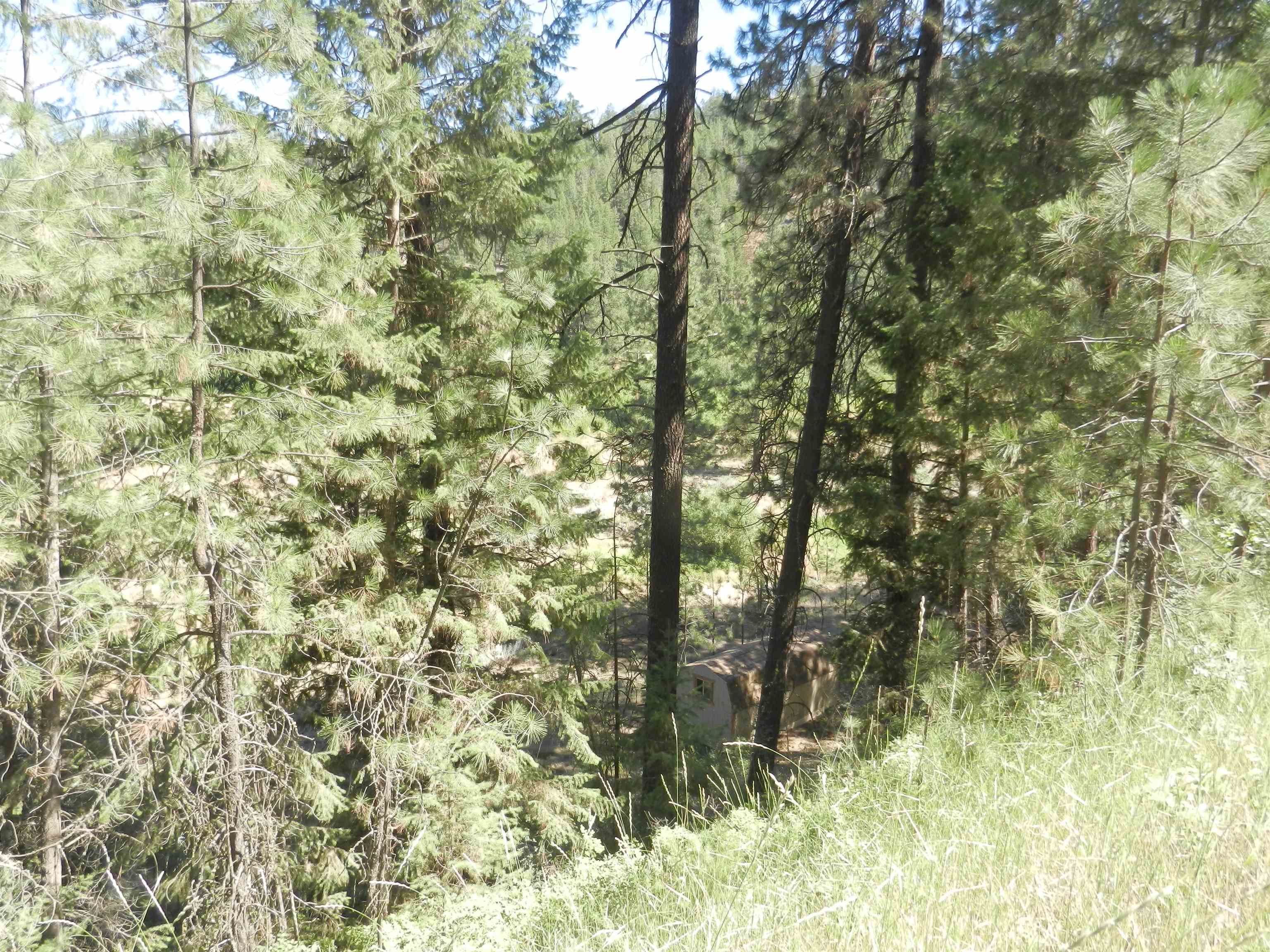 Photo 20 of 25 of 33520 Hawk Creek Ranch Rd N Tract 125 land