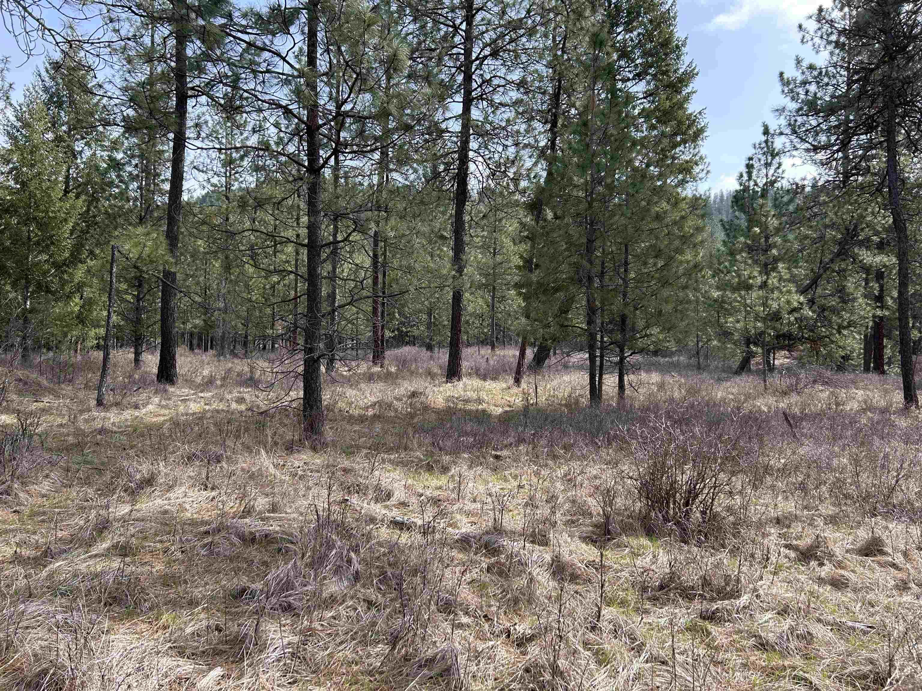 View Deer Park, WA 99006 land