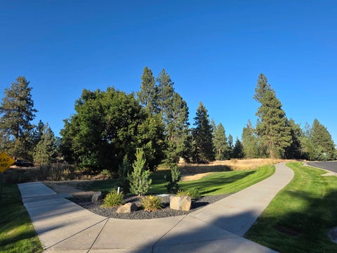 Featured picture for the property 202623656