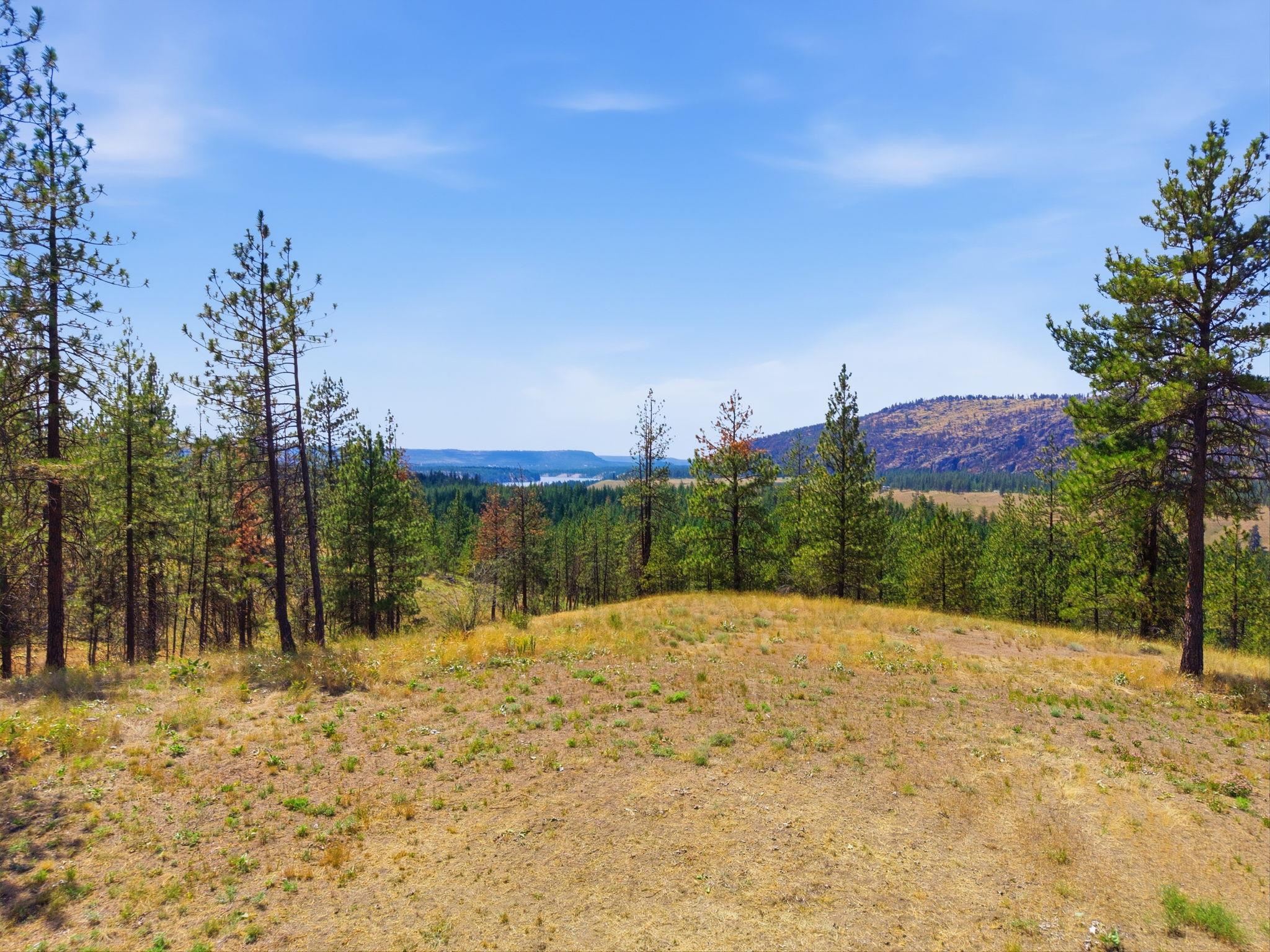 21609 W South Bank Rd - Photo 4