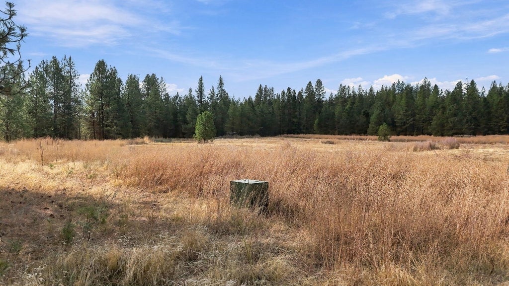 Photo of 1517 W Victoria Ln, Spokane, WA 99224 (MLS # 202625850)